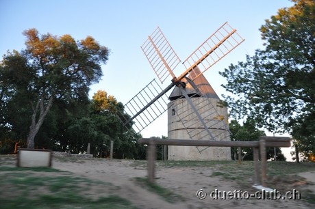 DSC_0971.jpg