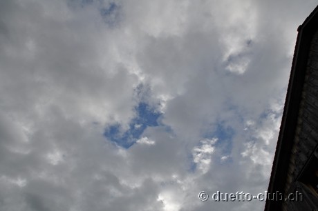 DSC_0206.jpg