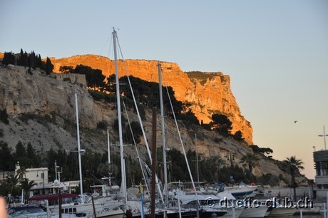 DSC_0786.jpg