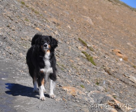 DSC_1338.jpg