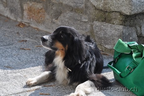 DSC_0067.jpg
