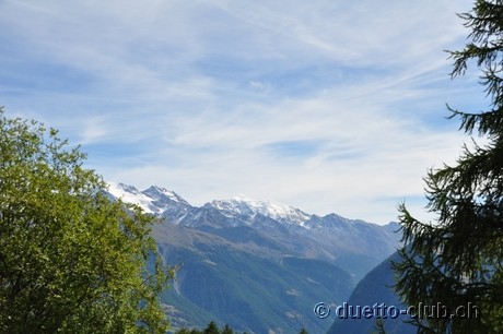 DSC_0164.jpg