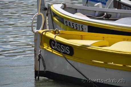 DSC_0738.jpg