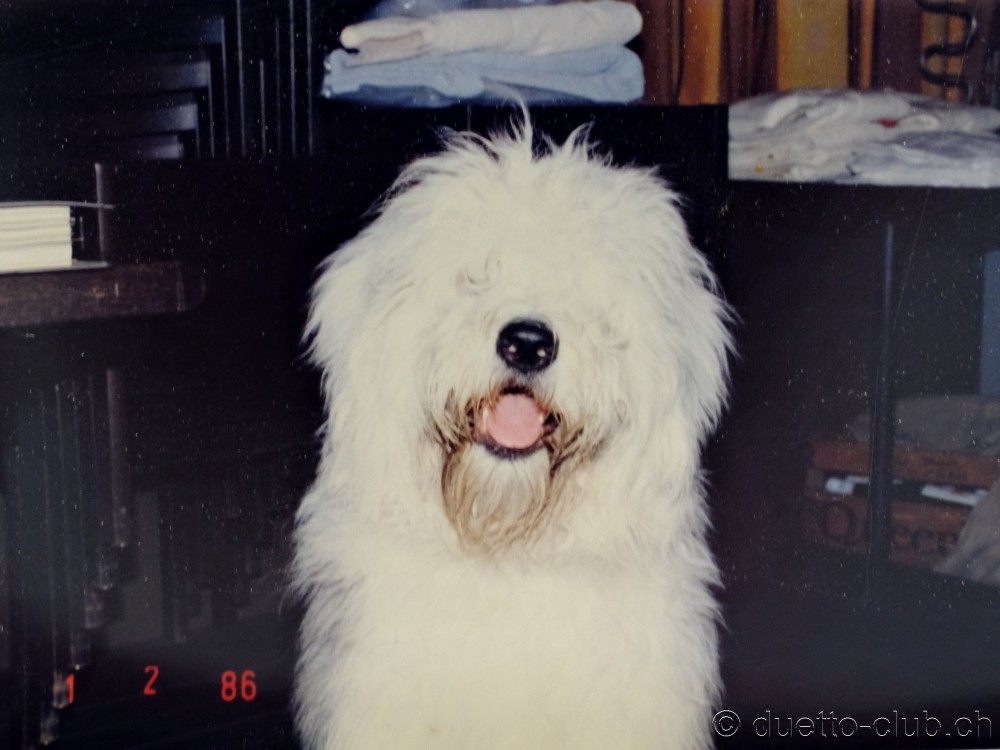 1986-gv-11.jpg