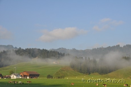 DSC_0025.jpg