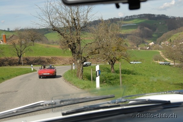 DSC_6651.jpg