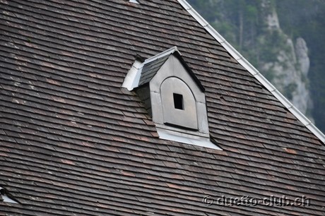 DSC_0265.jpg
