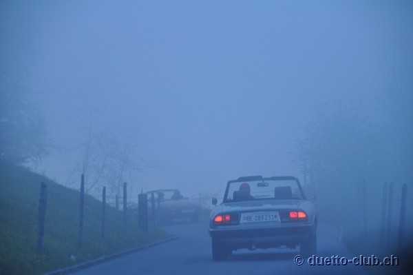 DSC_0087.jpg