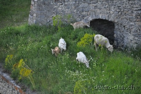DSC_1292.jpg