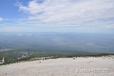 DSC_0446.jpg