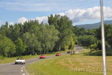 DSC_0513.jpg