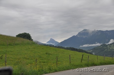 DSC_0240.jpg