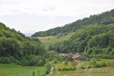 DSC_0242.jpg