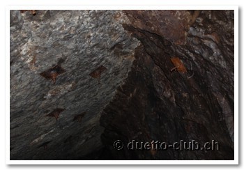 DSC_0071.jpg