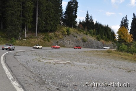 DSC_0137.jpg