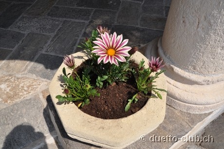 DSC_0141.jpg