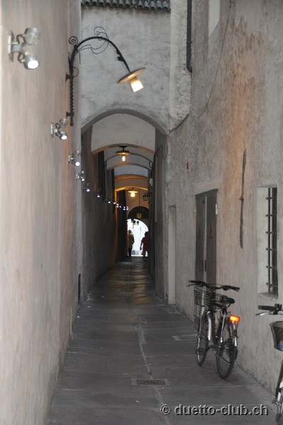 DSC_0232.jpg