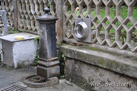 DSC_0177.jpg