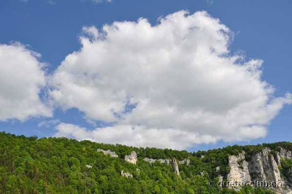 DSC_0179.jpg