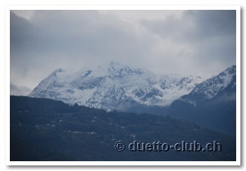 DSC_0097.jpg