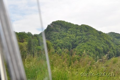 DSC_0243.jpg