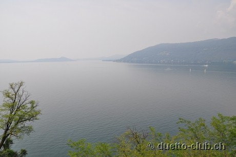 DSC_0125.jpg