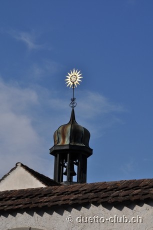 DSC_0223.jpg