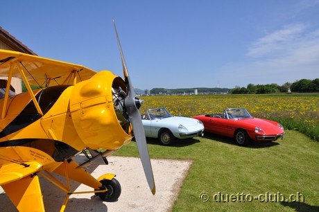 DSC_0337.jpg