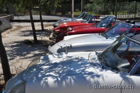DSC_0897.jpg