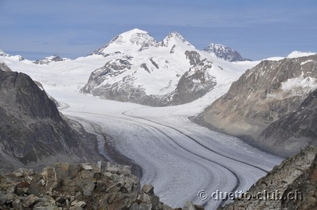 DSC_0067.jpg
