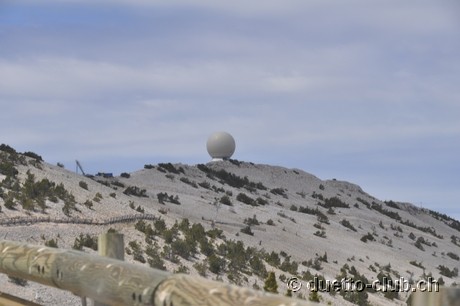 DSC_0438.jpg