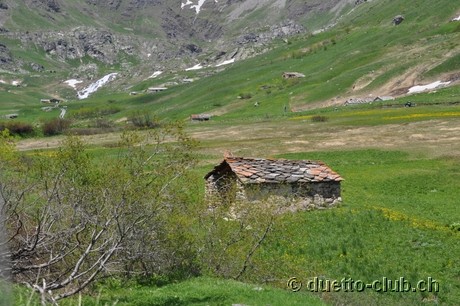 DSC_1360.jpg