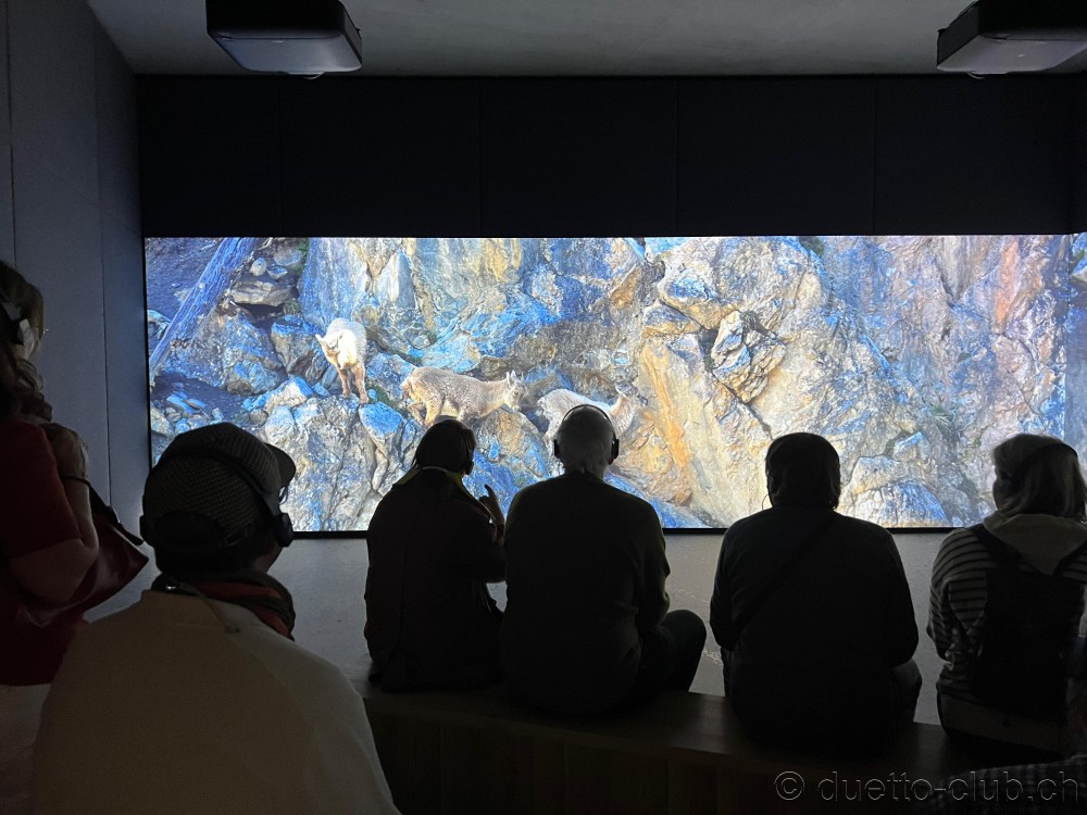 8-museum-10.jpg