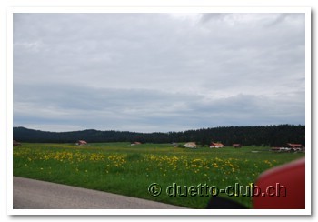 DSC_0171.jpg