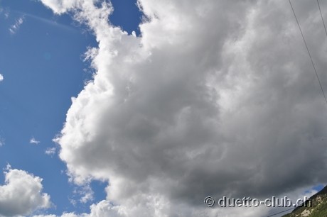 DSC_0613.jpg