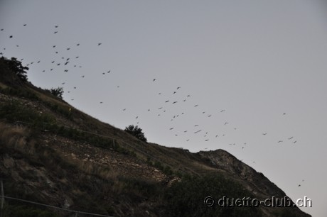 DSC_0310.jpg