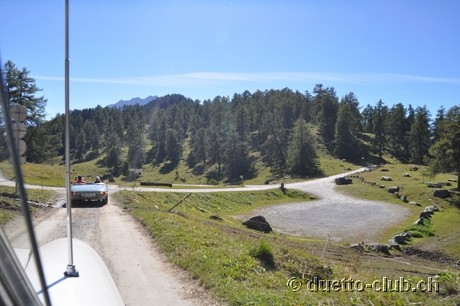 DSC_0478.jpg