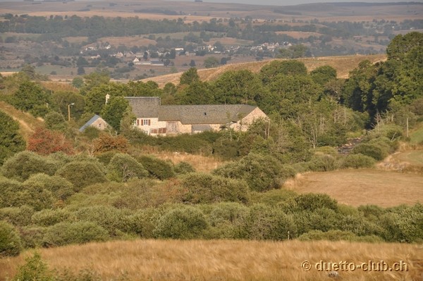 DSC_0087.jpg