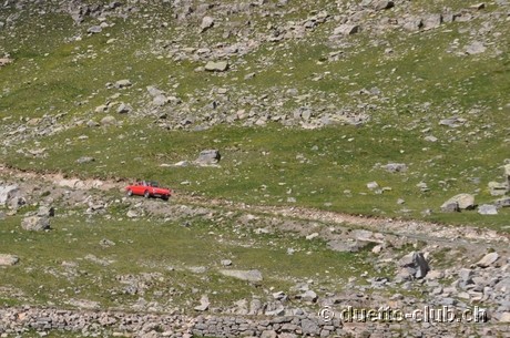 DSC_1219.jpg