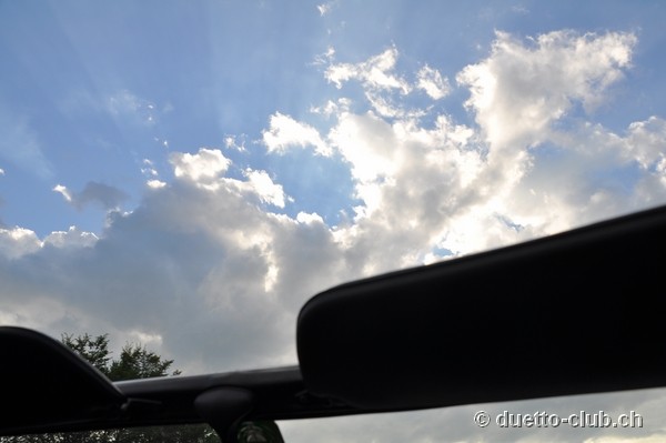 DSC_0374.jpg