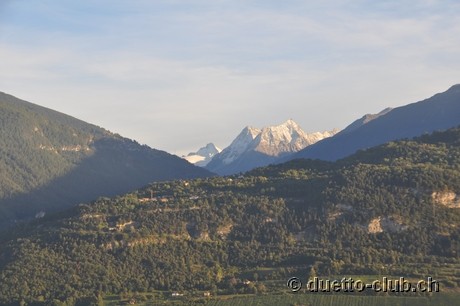 DSC_0263.jpg