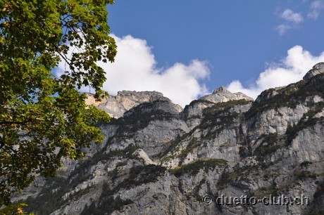 DSC_0329.jpg
