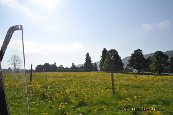 DSC_0183.jpg