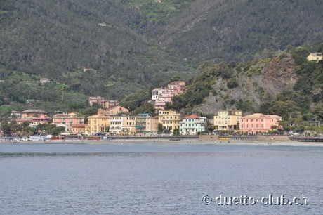DSC_0234.jpg