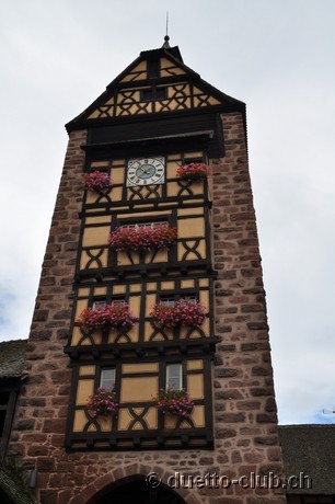 DSC_0450.jpg