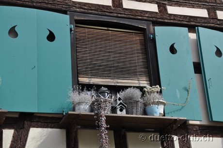 DSC_0437.jpg