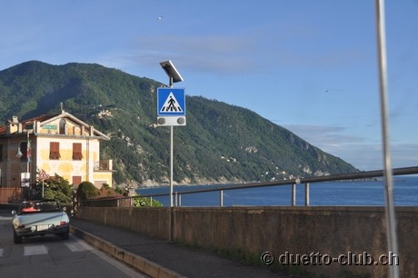 DSC_0041.jpg