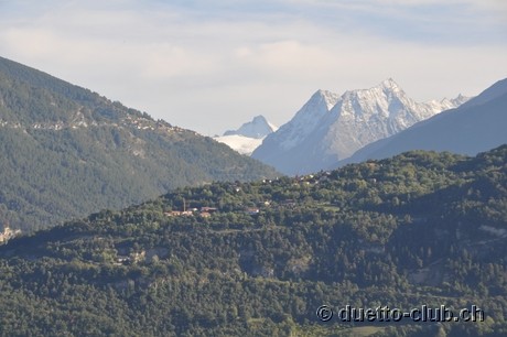 DSC_0236.jpg