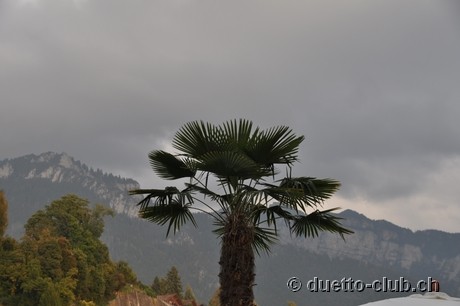 DSC_0163.jpg