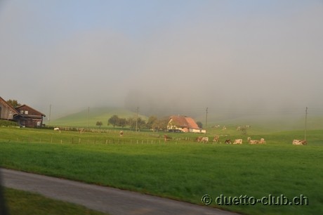 DSC_0017.jpg